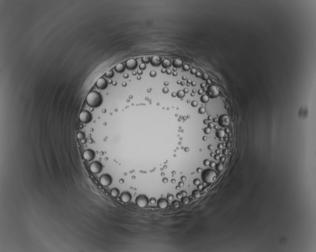 X0000115700051200912241531