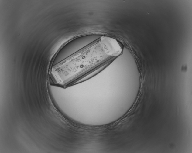 X0000115700052200912241531