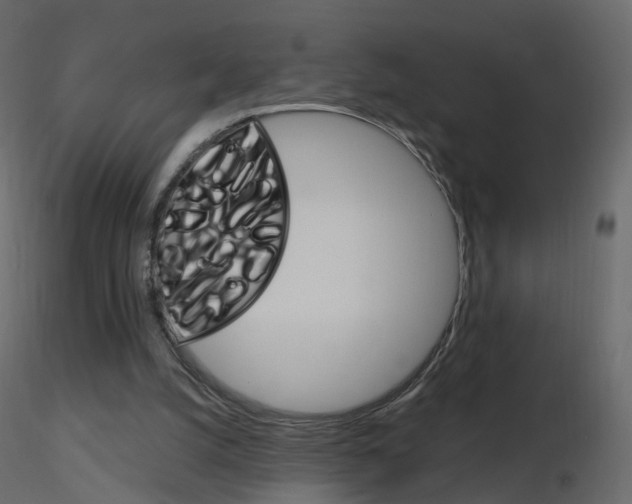 X0000115700056200912241531