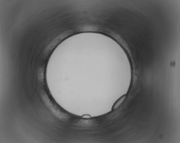 X0000115700057200912241531