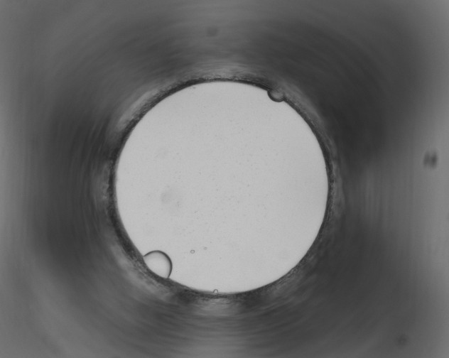 X0000115700058200912241531