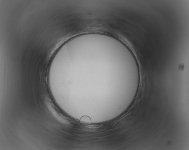 X0000115700059200912241531