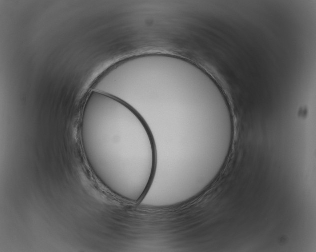 X0000115700060200912241531