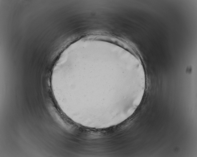 X0000115700061200912241531