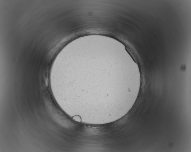 X0000115700062200912241531