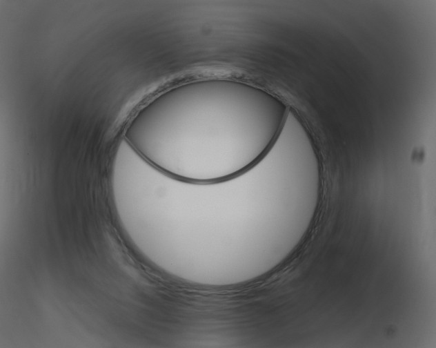 X0000115700064200912241531