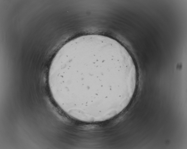 X0000115700065200912241531