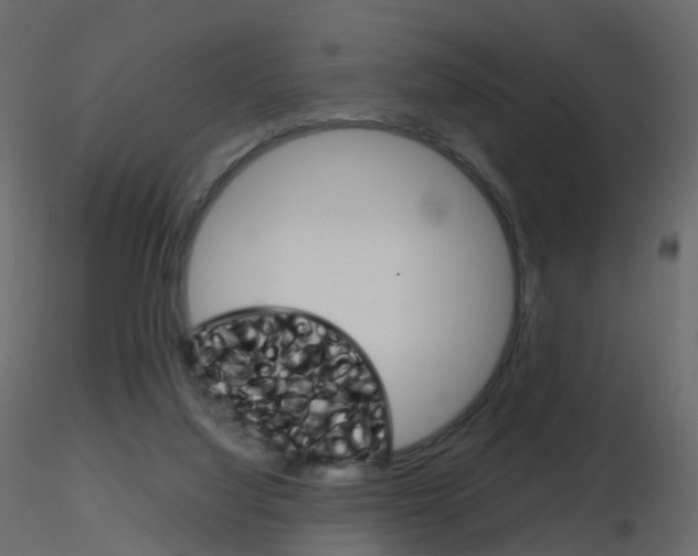 X0000115700068200912241531