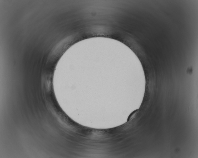 X0000115700070200912241531