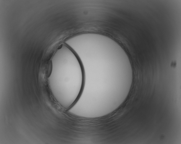 X0000115700072200912241531