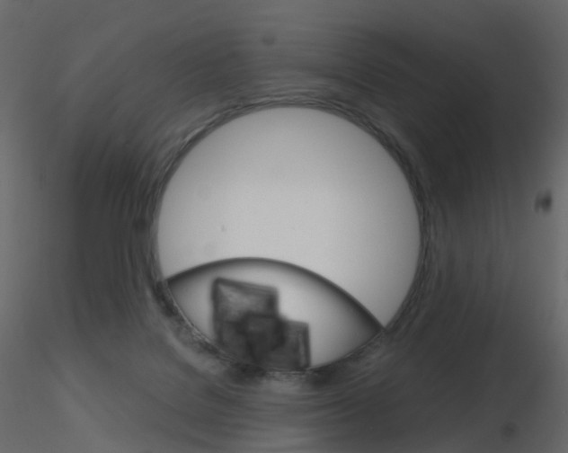 X0000115700076200912241531