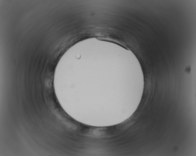 X0000115700078200912241532