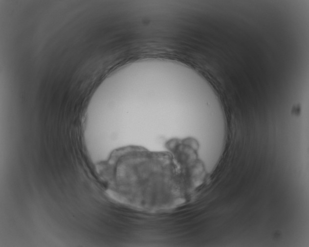 X0000115700079200912241532