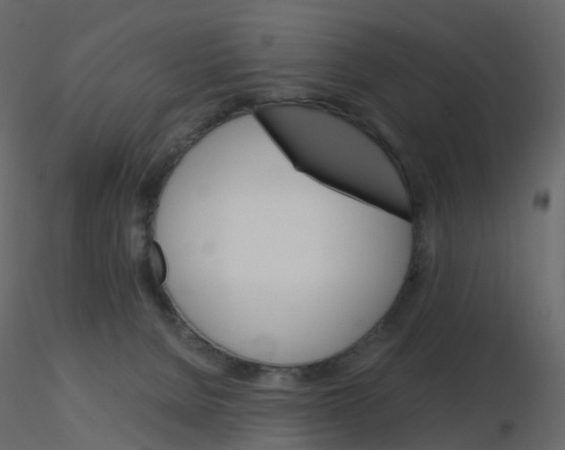 X0000115700080200912241532