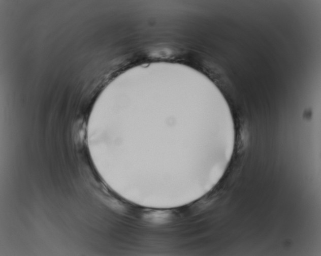 X0000115700081200912241532