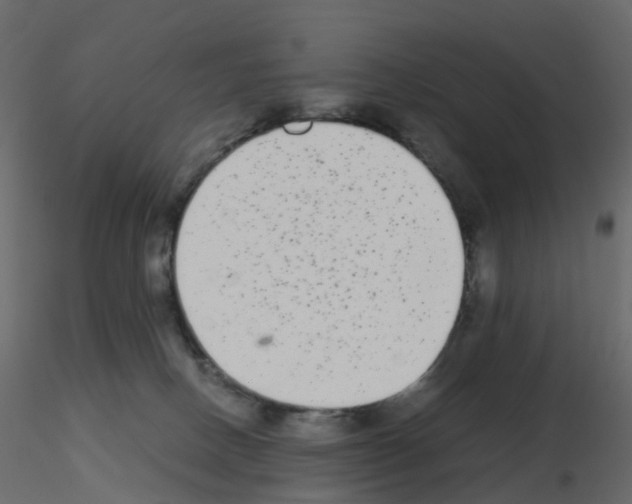 X0000115700082200912241532