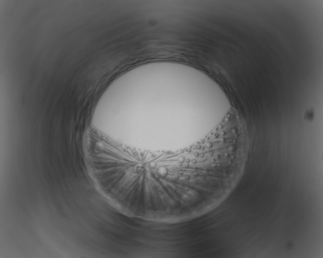 X0000115700083200912241532