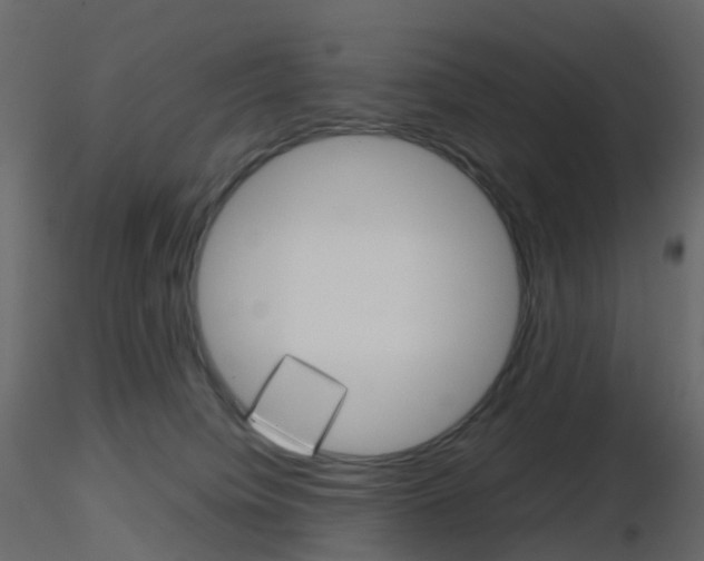 X0000115700084200912241532