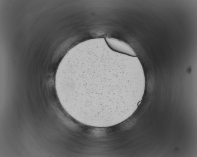 X0000115700085200912241532