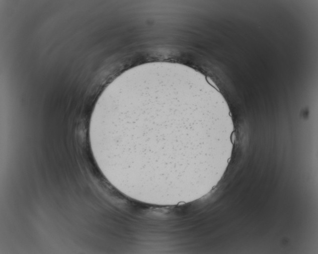 X0000115700086200912241532