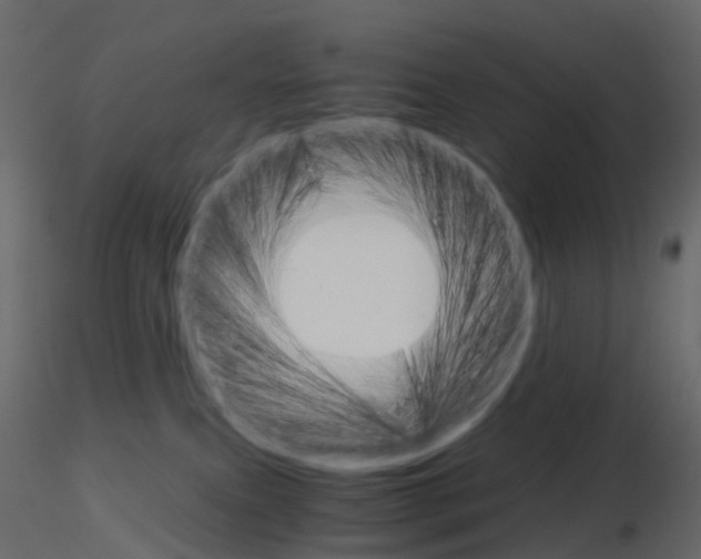 X0000115700087200912241532