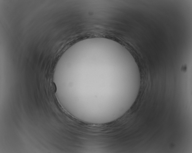 X0000115700088200912241532