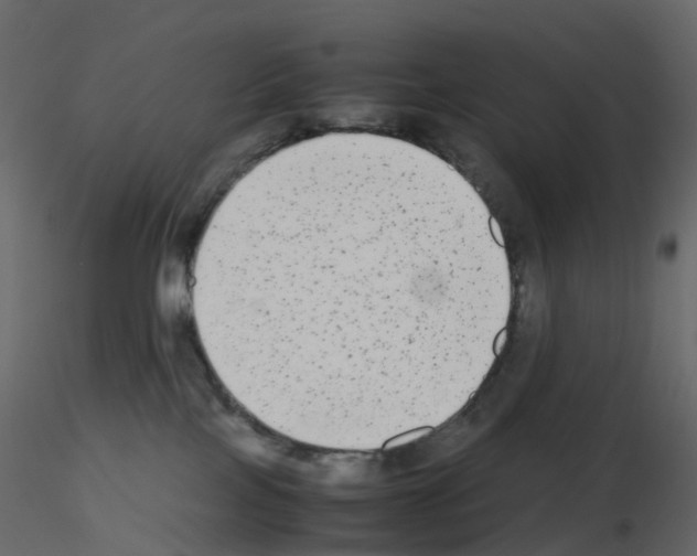 X0000115700089200912241532