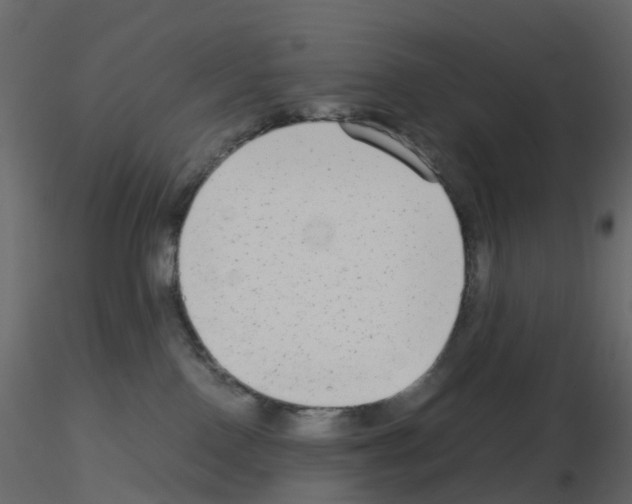 X0000115700090200912241532