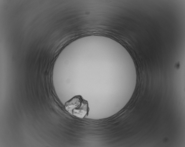 X0000115700092200912241532