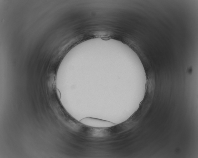 X0000115700093200912241532