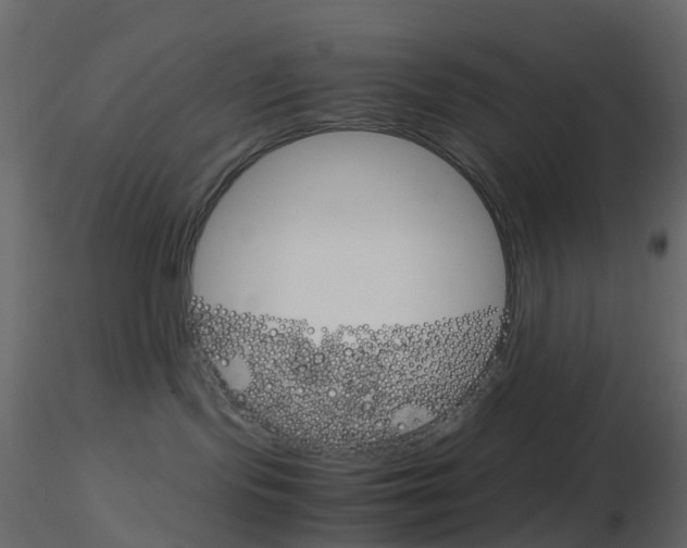 X0000115700095200912241532