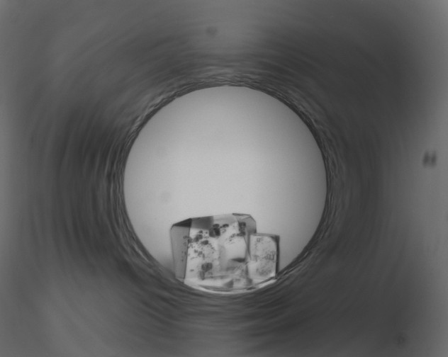 X0000115700096200912241532