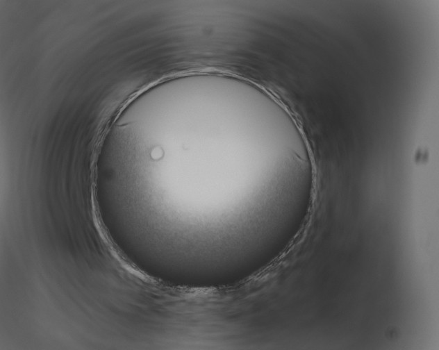 X0000115700097200912241531