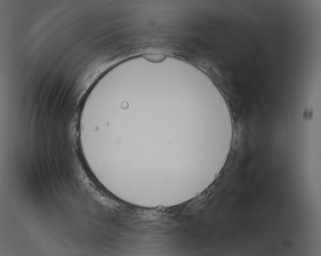 X0000115700098200912241531