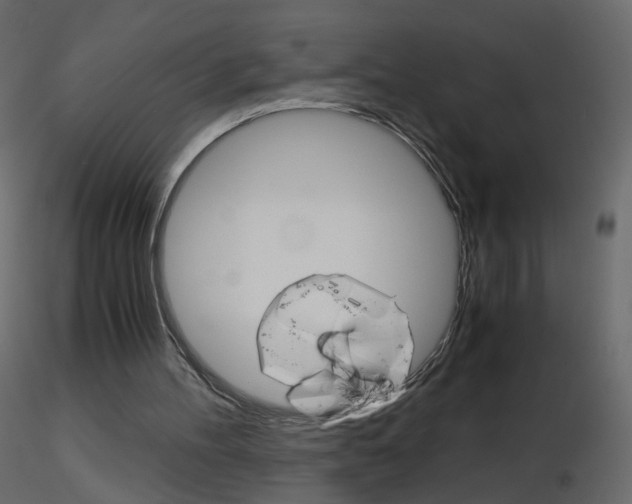 X0000115700100200912241531