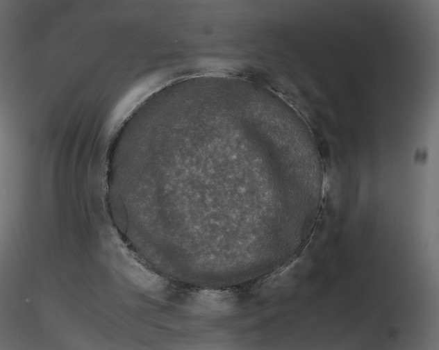 X0000115700101200912241531