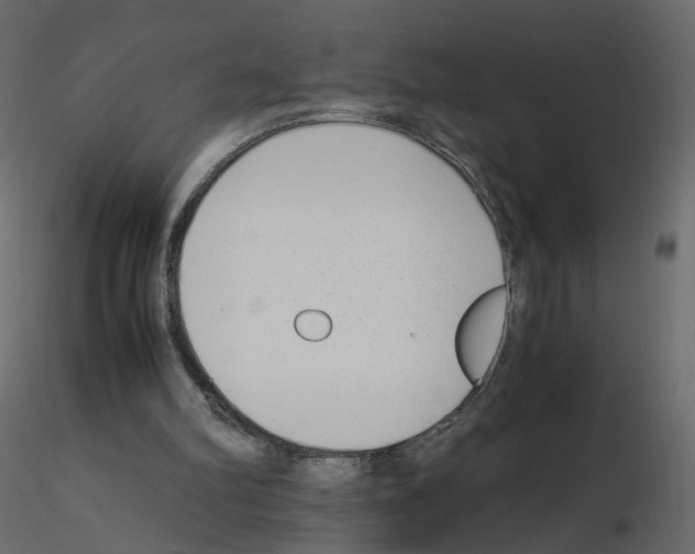 X0000115700102200912241531