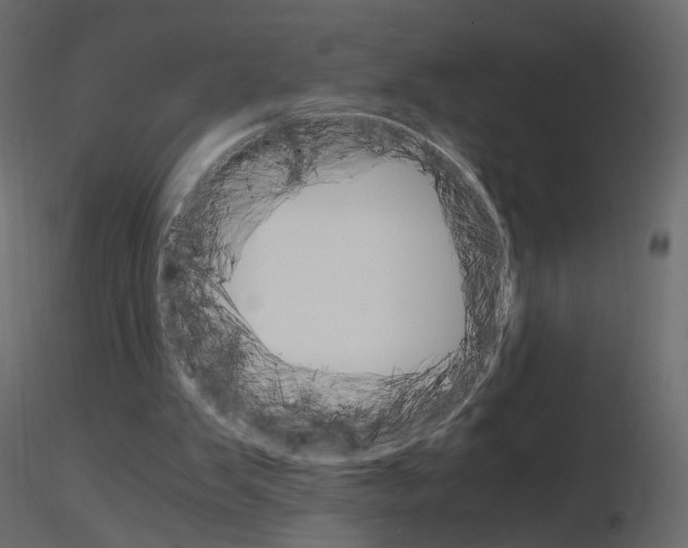 X0000115700103200912241531