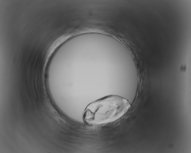 X0000115700104200912241531