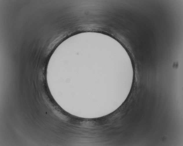 X0000115700105200912241531