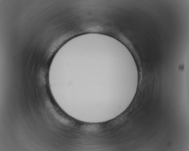 X0000115700106200912241531