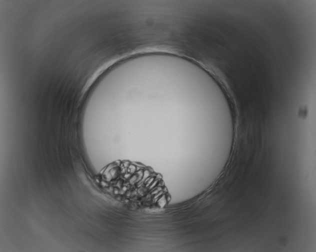 X0000115700108200912241531