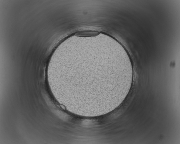 X0000115700109200912241531