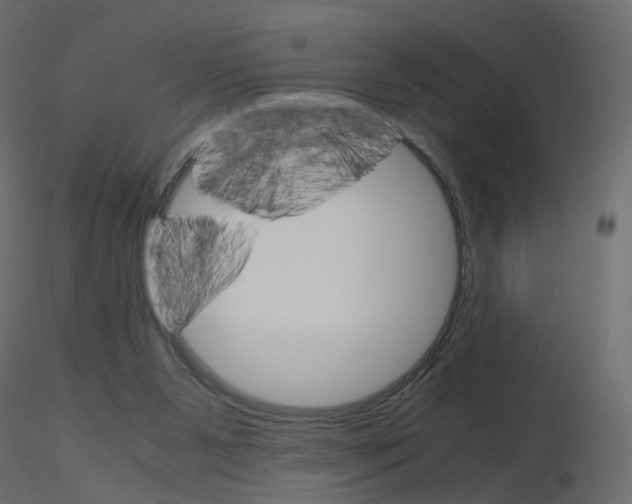 X0000115700111200912241531