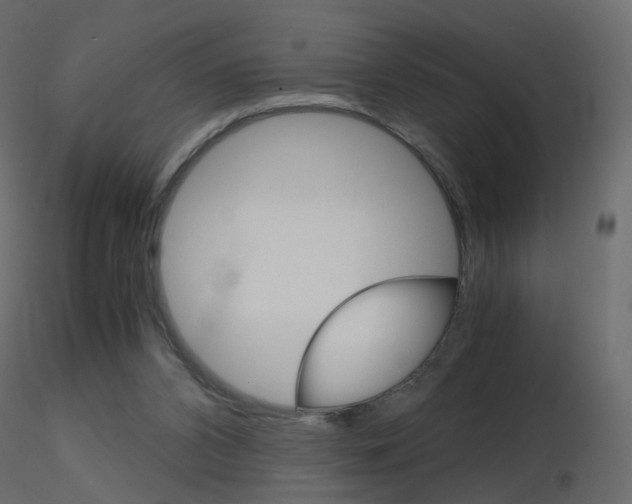 X0000115700112200912241531