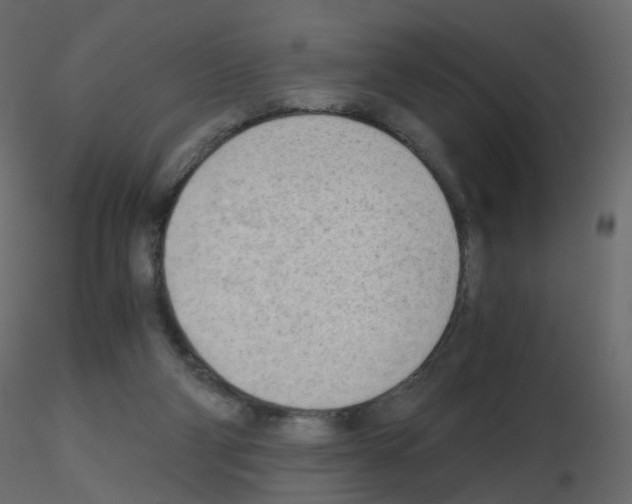 X0000115700114200912241531