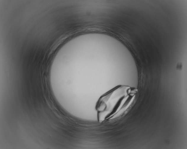 X0000115700116200912241531