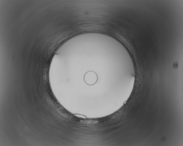 X0000115700117200912241531