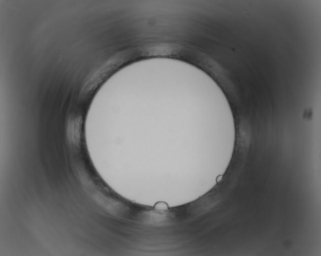 X0000115700118200912241531