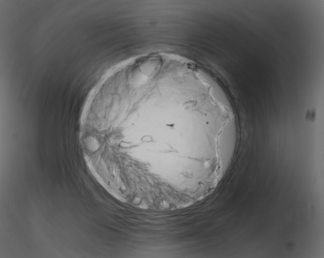 X0000115700119200912241531